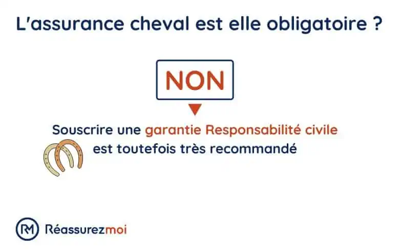 Quelle est la meilleure assurance pour son cheval