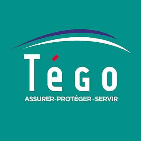 logo tego 1