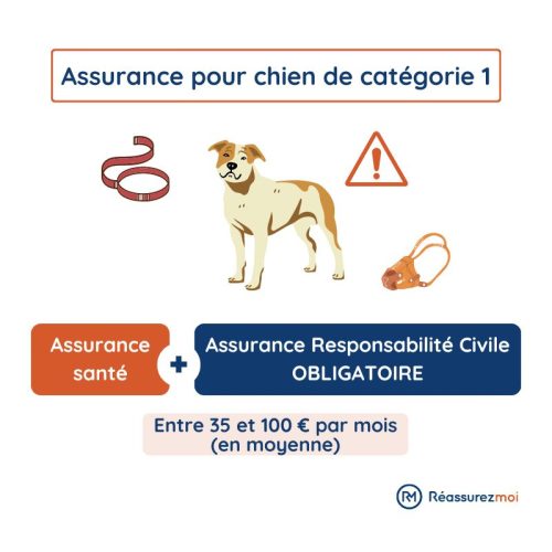Assurance chien categorie 1 1