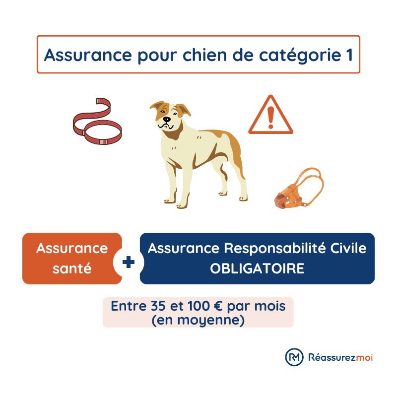 Declaration Assurance Degat Chien