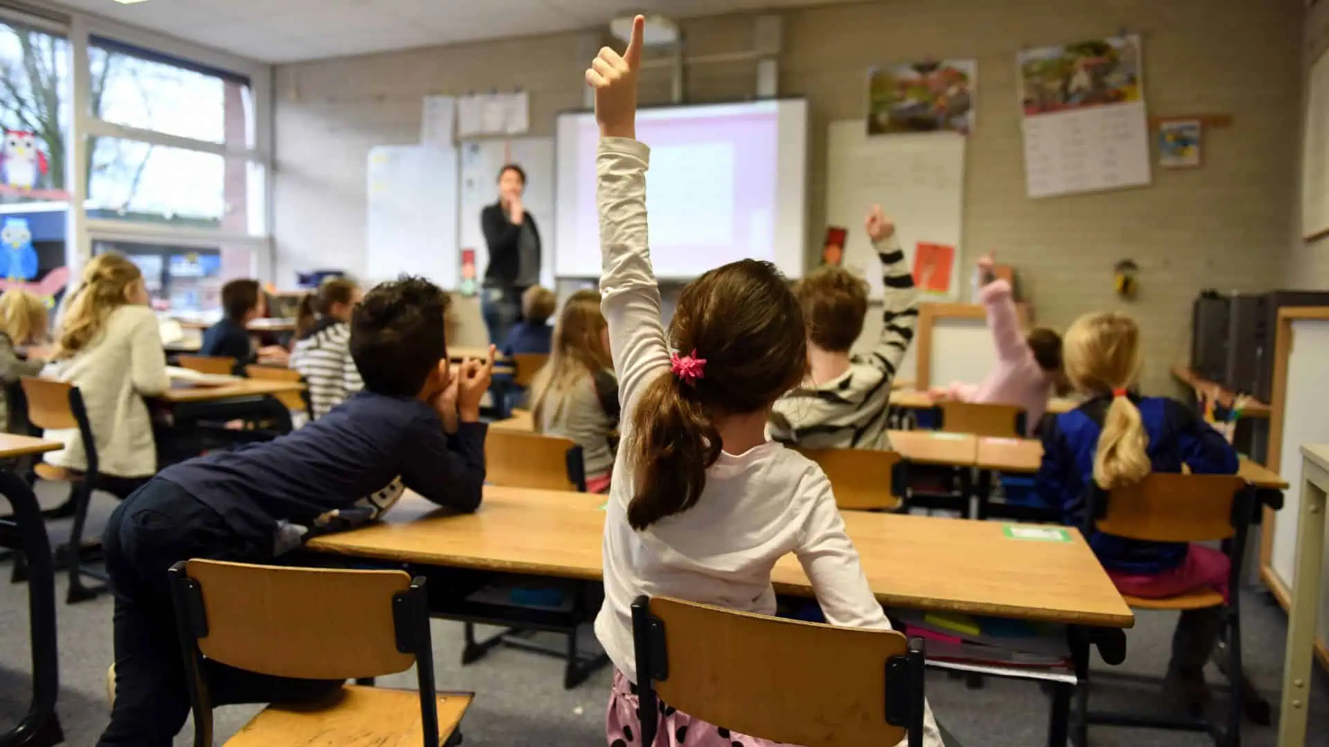 Assurance scolaire 2024 : Ce qu’il faut absolument savoir