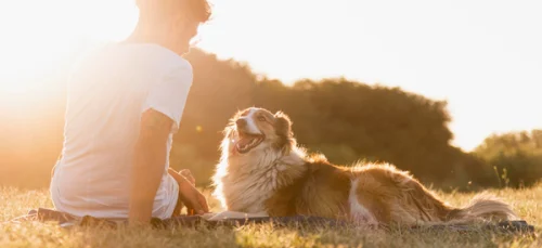 mutuelle sante chien